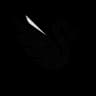 Black Swan International Logo